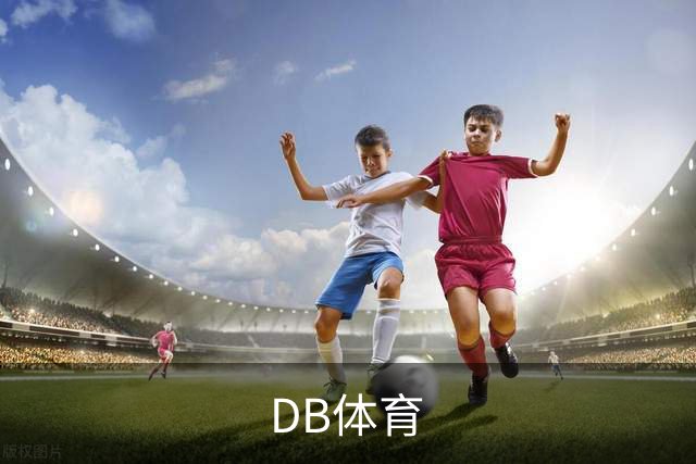 DB体育 公司简介